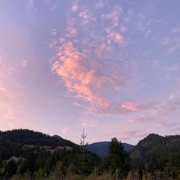 Meet your Posher, Olivia - Picture 1 of 1